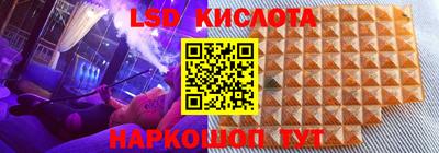 прущие грибы Краснокаменск