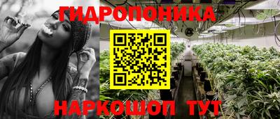 прущие грибы Краснокаменск