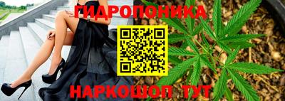 прущие грибы Краснокаменск